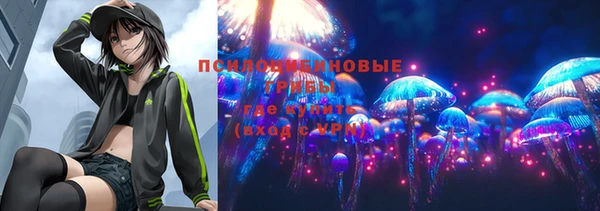 СК Аркадак