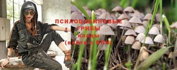 экстази Арсеньев